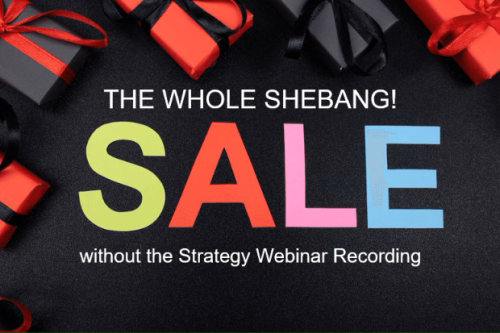 BUY THE WHOLE SHEBANG AND SAVE 20% (without the strategy webinar recording)